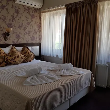 Anticus (adults Only)