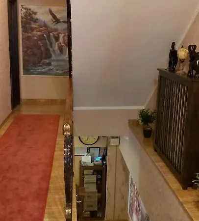 Anticus (adults Only)