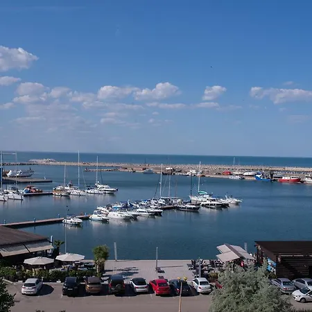 Anticus (adults Only)