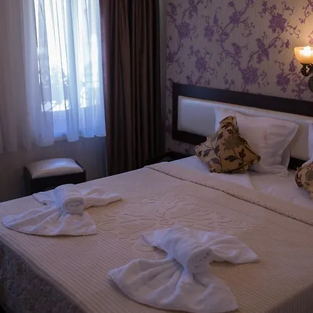 Anticus (adults Only)