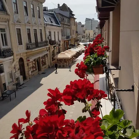 Anticus (adults Only) 3*