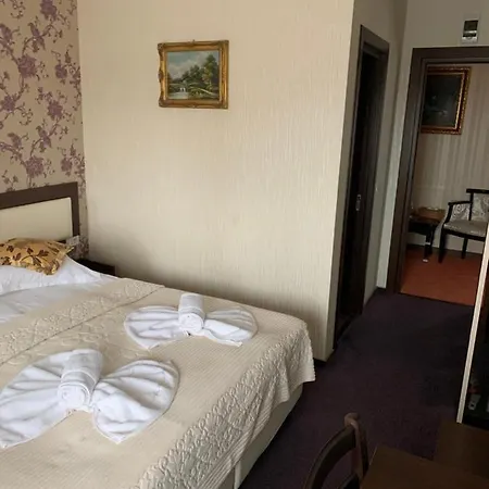 Anticus (adults Only)