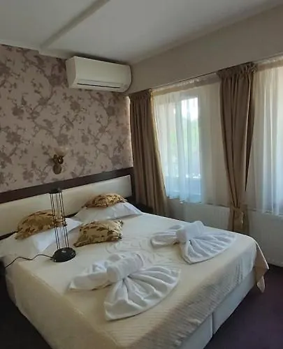 Anticus (adults Only)