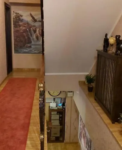 Anticus (adults Only)