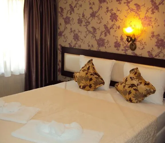 Anticus (adults Only) 3*