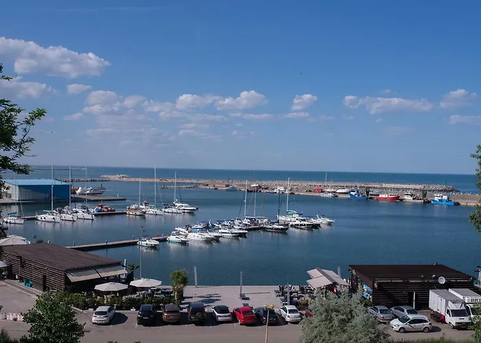 Anticus (adults Only)