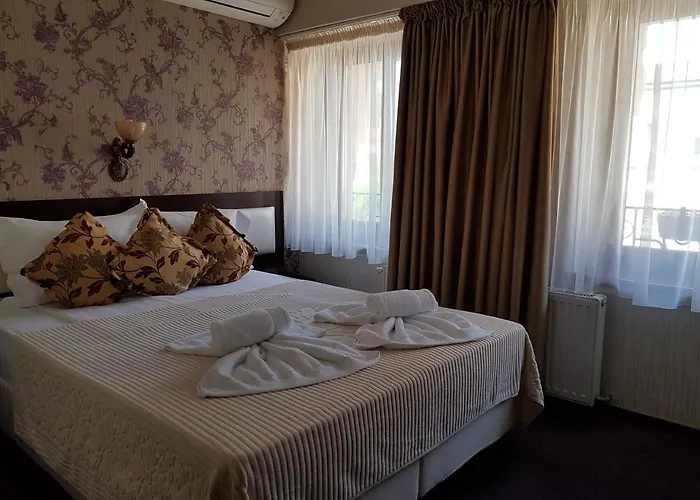 Anticus (adults Only)