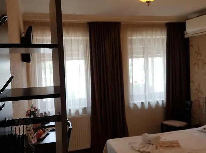 Anticus (adults Only)