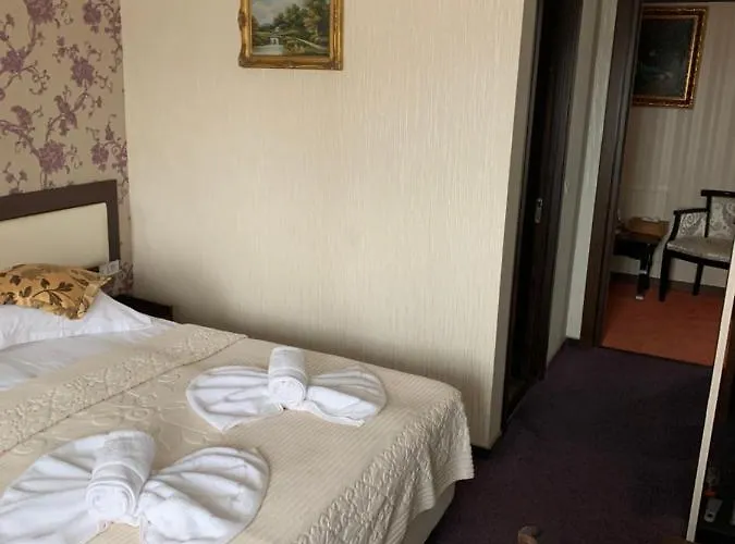 Anticus (adults Only)